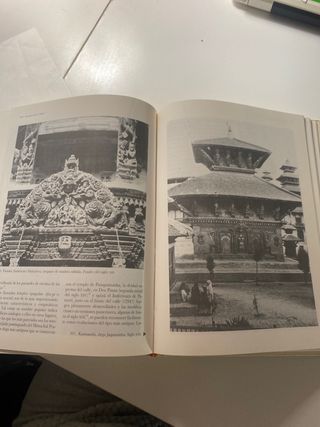 Arte y arquitectura en el subcontinente indio (...