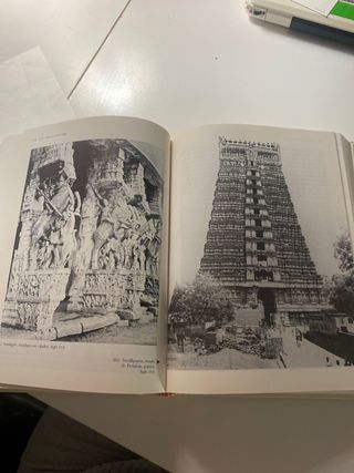 Arte y arquitectura en el subcontinente indio (...