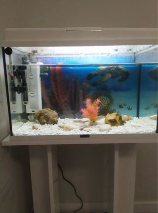 Acuario completo con mueble soporte