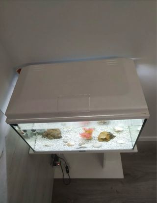 Acuario completo con mueble soporte