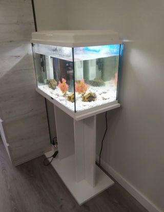 Acuario completo con mueble soporte