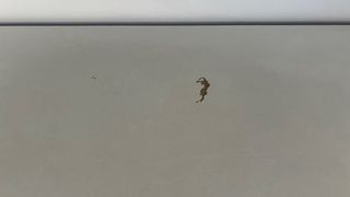 Cómoda 4 cajones blanca