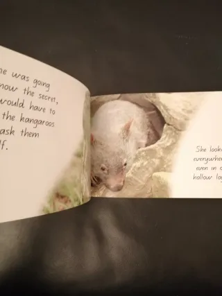 Wombat's Secret (A Steve Parish Storybook)