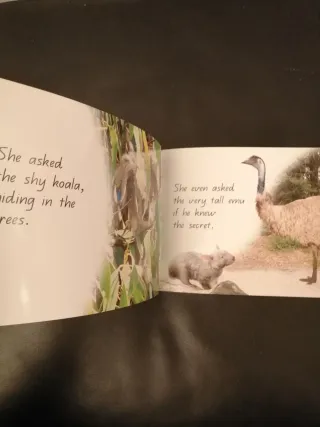 Wombat's Secret (A Steve Parish Storybook)