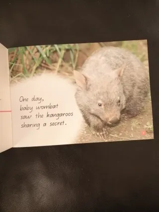 Wombat's Secret (A Steve Parish Storybook)
