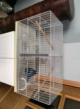 Jaula para pájaros con accesorios