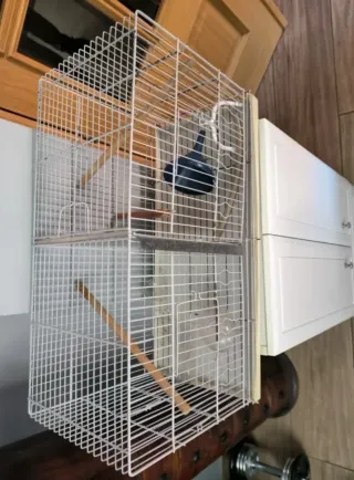 Jaula para pájaros con accesorios