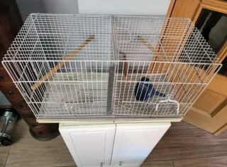 Jaula para pájaros con accesorios