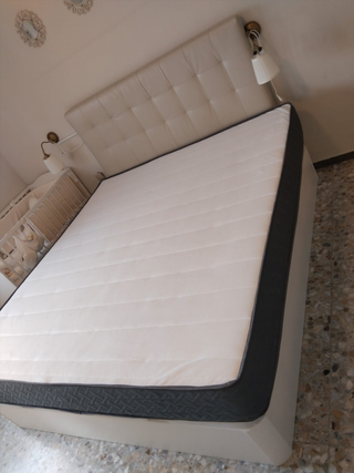 Canapes Canapes Canapes Canapes Canapes