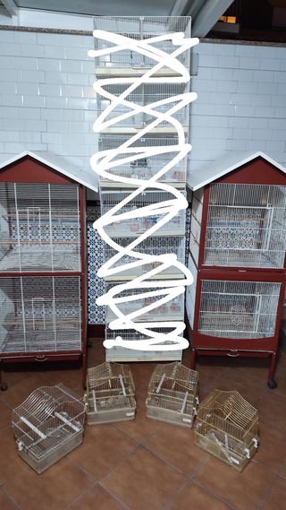 Jaulas de cría y jaulones