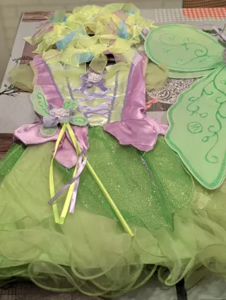 Disfraz Hada Mariposa Completo