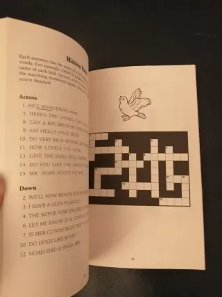 Outrageous crossword puzzle and word game book