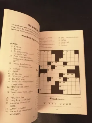 Outrageous crossword puzzle and word game book
