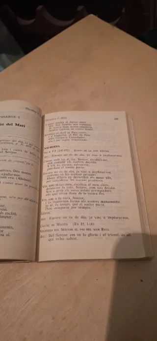 Litúrgia de les hores