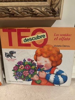 Teo descubre los sentidos la vista