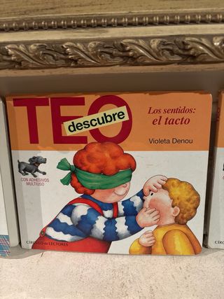 Teo descubre los sentidos la vista