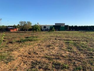 FINCA Y PARCELA RUSTICA