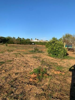 FINCA Y PARCELA RUSTICA