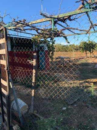 FINCA Y PARCELA RUSTICA