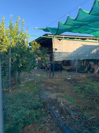 FINCA Y PARCELA RUSTICA