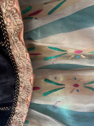 Disfraz Ana Frozen 2/3 años