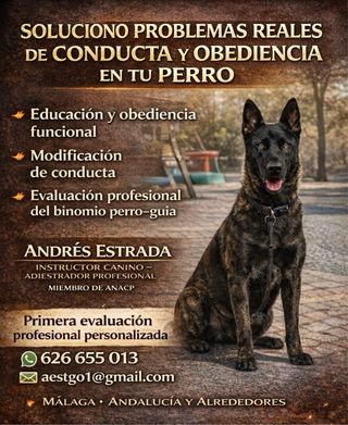Instructor canino profesional con amplia experienc