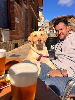 Busco trabajo ✍️