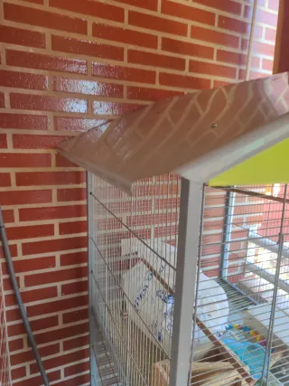 Jaula doble grande con comederos y bebederos