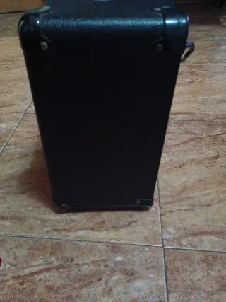 Amplificador Marshall MG15 Negro Y 4 cables Fender