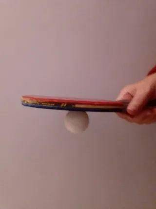 Goma Sanwei Pro Negra 2.2