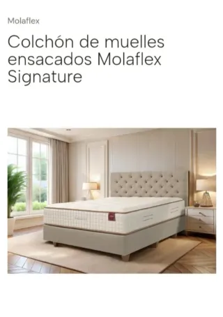 200x200 Signatur Colchon Flex MOLAFLEX 2x2 MUELLES