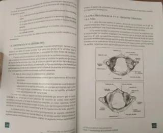 Manual Traumatología