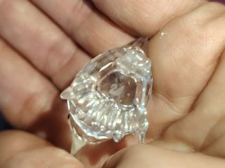 Swarovski Gallina con Pulcini