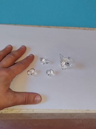 Swarovski Gallina con Pulcini