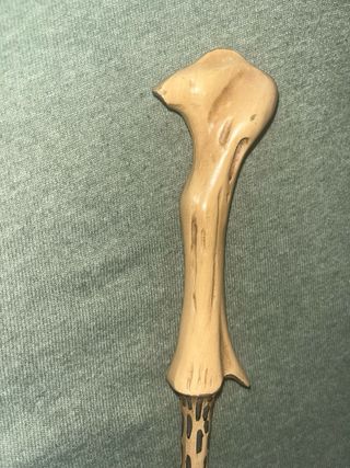 Varita de Lord Voldemort