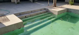 Manitas