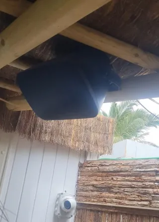 Manitas