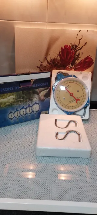 Balanza de gancho 50 kg