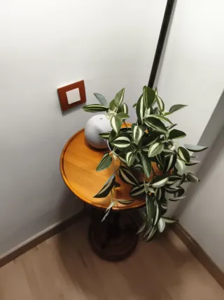 Lámpara de pie decorativa