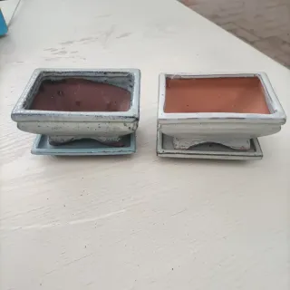 Set 2 Vasi Bonsai con Piattino 12cm