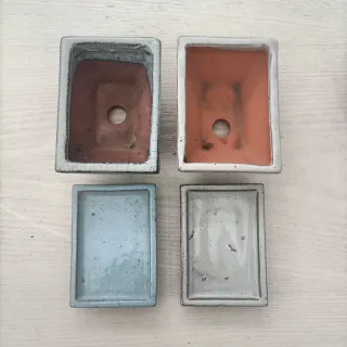 Set 2 Vasi Bonsai con Piattino 12cm