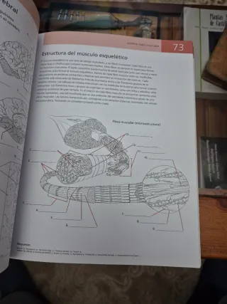 Libro Anatomía Humana y Fisiología