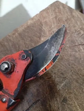 Tijeras de podar Pradines