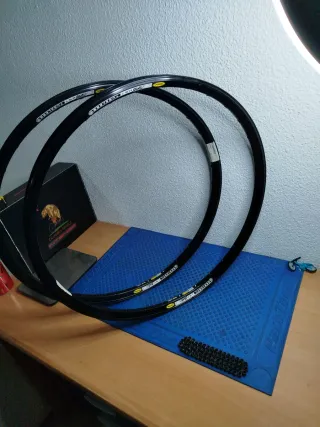 2 Llantas Mavic D3.1 UST