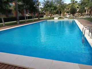 Mantenimiento de jardines, piscinas y palmeras