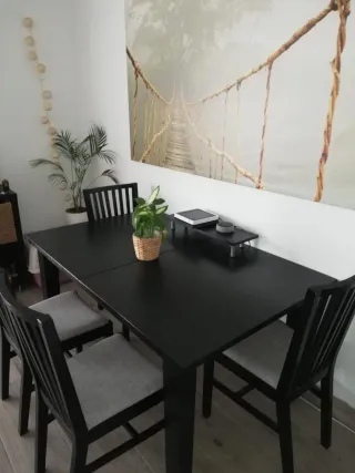 Mesa de comedor y 6 sillas