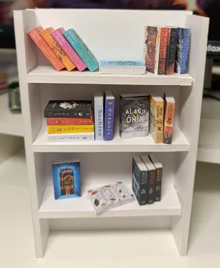 Mini libros