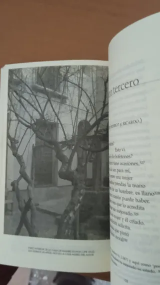 El perro del hortelano (Castalia Prima) (Spanis...