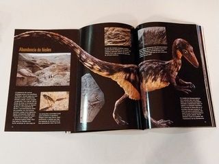 Revista National Geographic Vol 3 no1 JULIO 1998