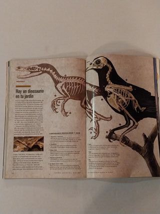 Revista National Geographic Vol 3 no1 JULIO 1998